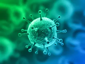 Virus in 3D