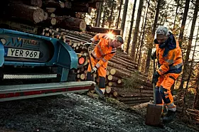 Waldarbeiter in Arbeitskleidung